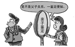 雅安去哪找亲子鉴定检测服务机构，雅安亲子鉴定价格