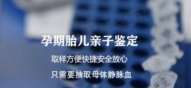 雅安怀孕如何做DNA鉴定,雅安办理怀孕亲子鉴定办理方法 雅安怀孕如何做DNA鉴定,雅安办理怀孕亲子鉴定办理方法