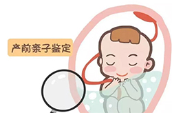 在[雅安]刚怀孕需要如何做亲子鉴定(专家咨询)，雅安产前亲子鉴定要多少钱